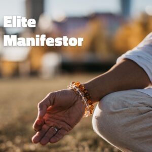 Elite Manifestor