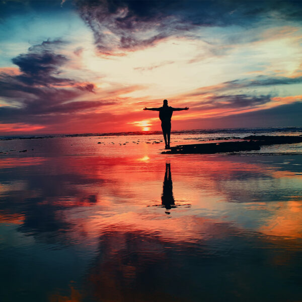 Law of Attraction Mentorship